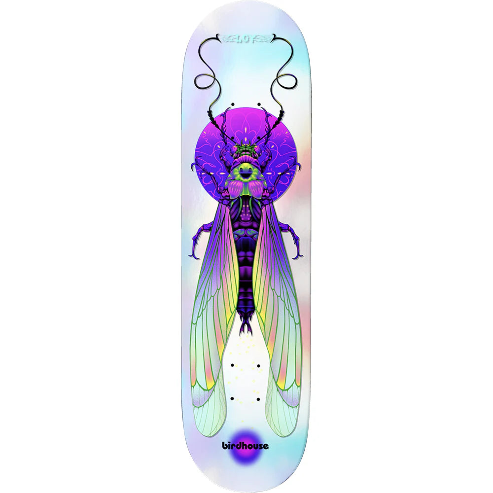 Skateboard Deck With Reinforced Core-Birdhouse Deck Insects 8.5 David Loy